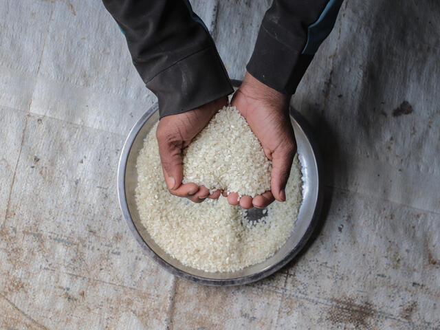 Hände, die eine handvoll Reis halten