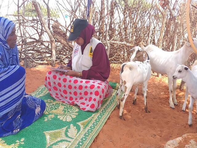 Abshiro Abdile Sheikhow ist 55 Jahre alt. Sie lebt mit ihrer neunköpfigen Familie in Qargora, einem Dorf im Nordosten Somalias.