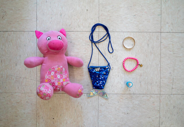 Lisas Habseligkeiten, ein Stoffferkel, eine Meerjungfrauenhandtasche, ein Spielzeug aus dem Film Frozen und zwei Armbänder