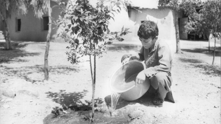 Ein kleiner Junge gießt einen Baum